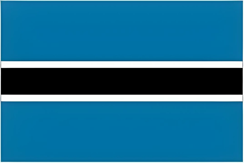 郑州 - 博兹瓦纳（5天）fedex单号：7847****8808