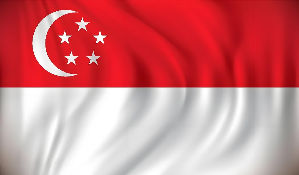 郑州 - 新加坡（4天）EMS单号：EV027***789CN