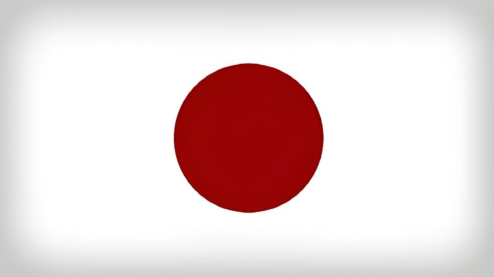 郑州 - 日本（5天）EMS单号：EV020***141CN