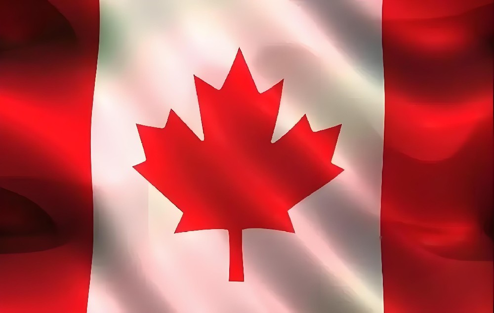 郑州 - 加拿大（5天）Canada post 单号：73213******47096